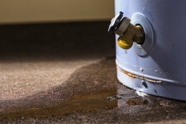 Best Flood damage cleanup  in Hoopa, CA