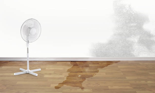 Best 24/7 water damage repair  in Hoopa, CA