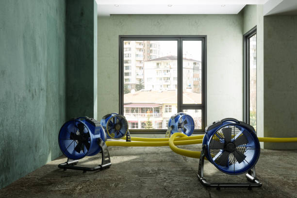Best Water damage restoration process  in Hoopa, CA